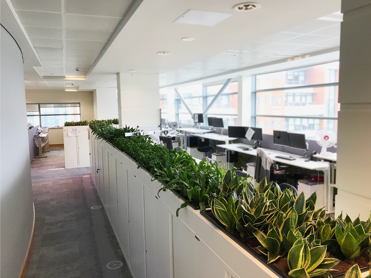 AMCS fit out by M2 Office Interior
